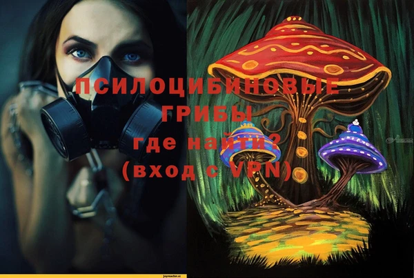 герыч Снежинск
