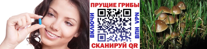 Галлюциногенные грибы Magic Shrooms  Волгореченск 